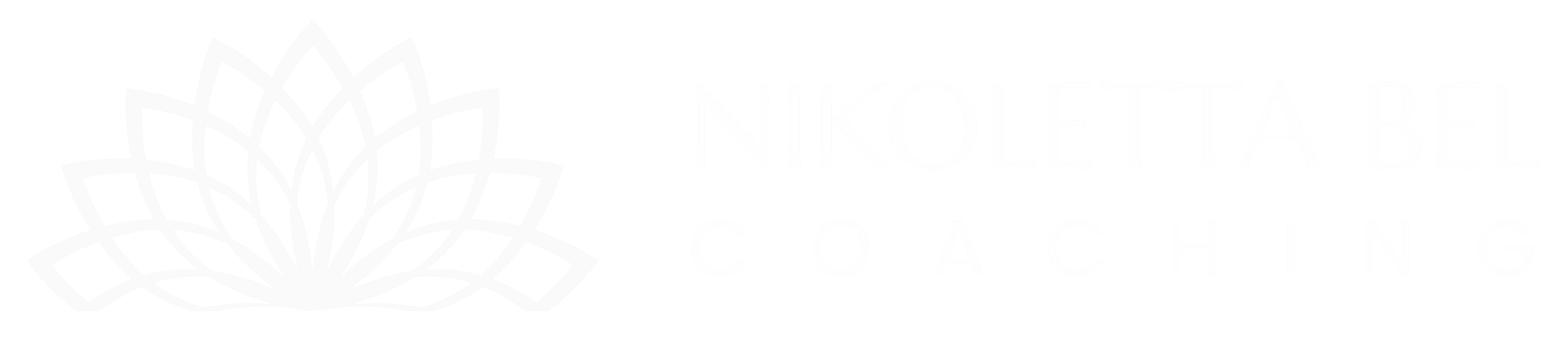 NBC Website Graphics Logo Footer